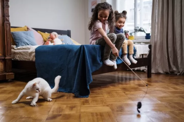 Two children playing with a white cat in a bedroom 